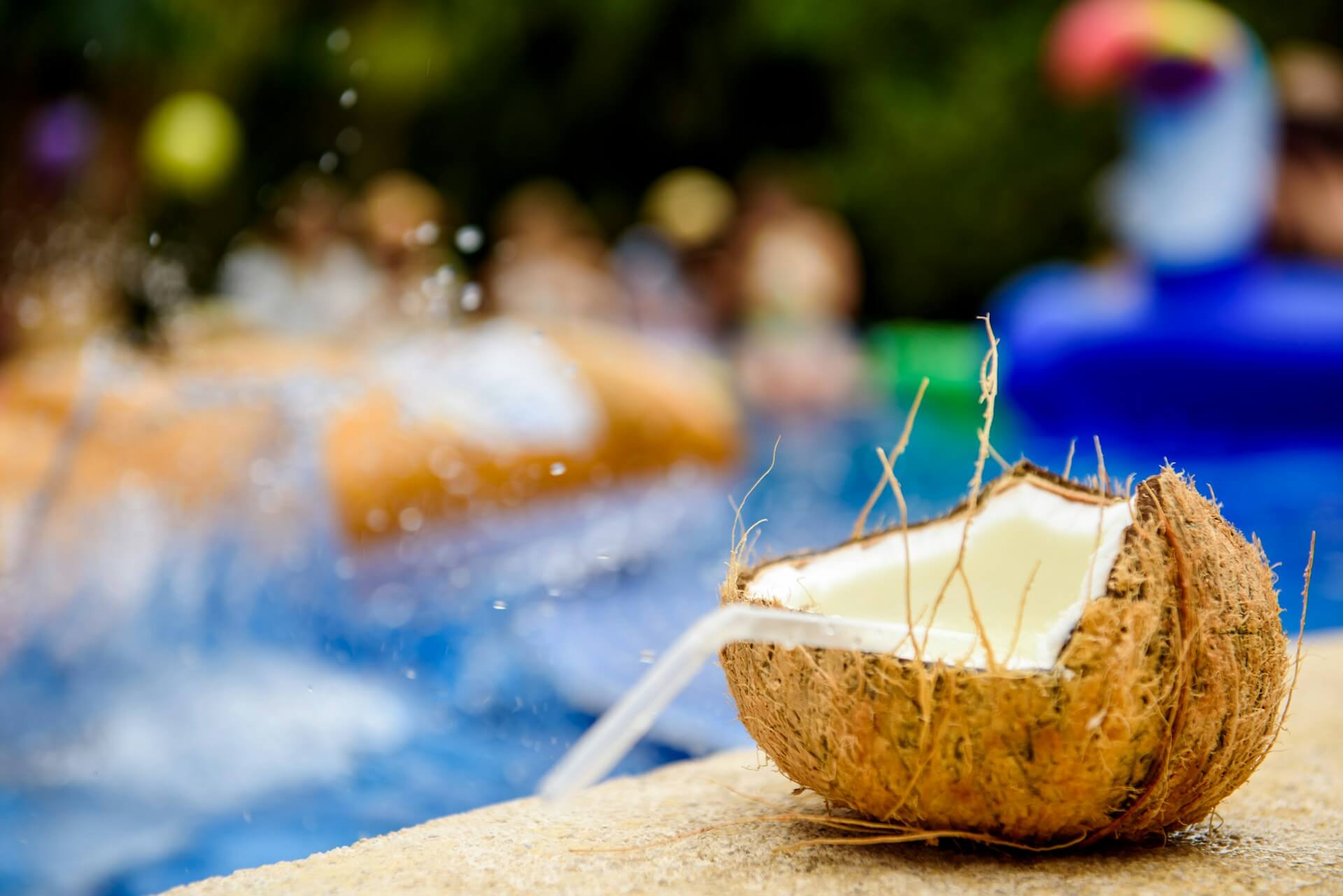 Read more about the article Best Hostels in Central America: The Ultimate Party Guide (2025)