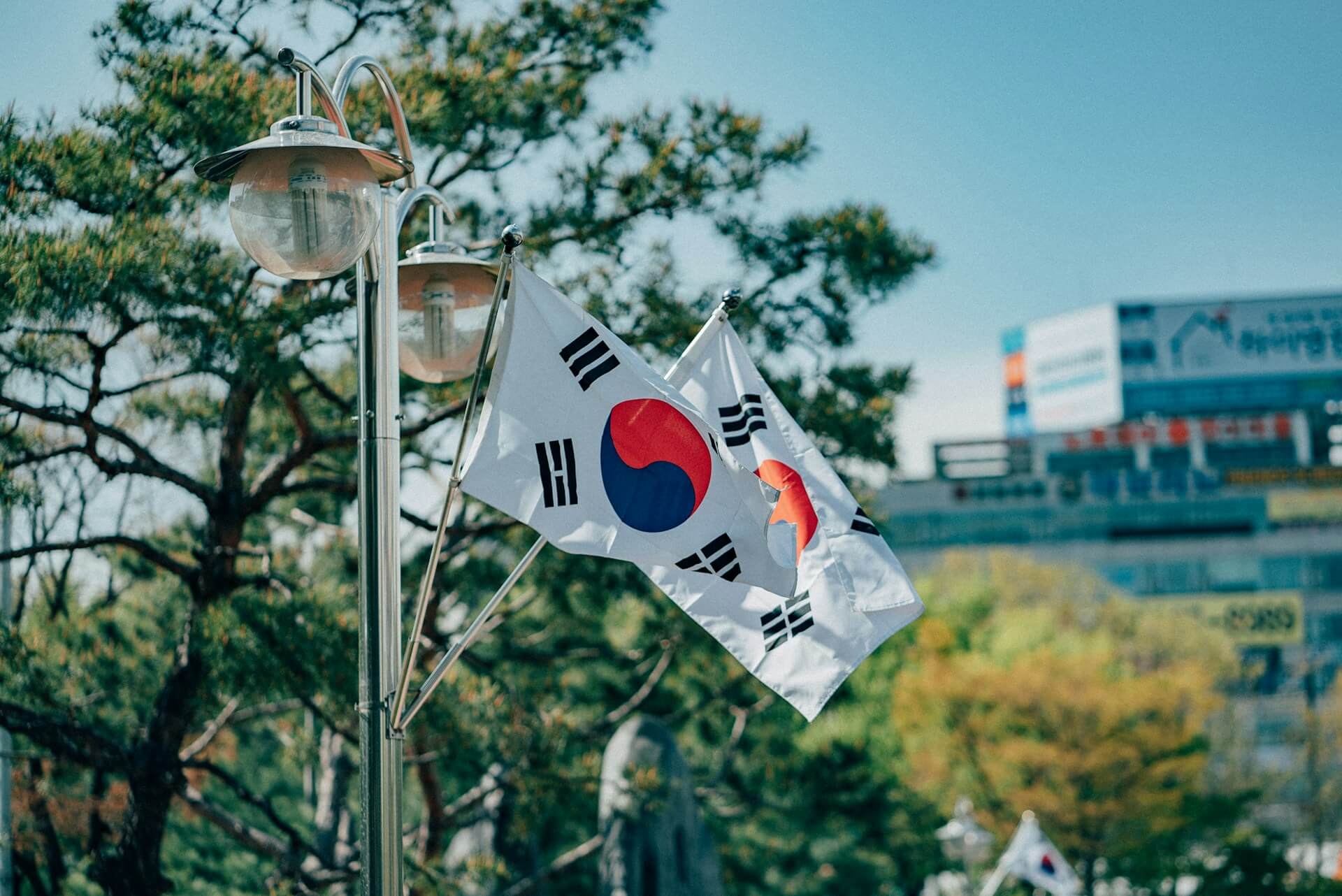 Read more about the article 7 Best Party Hostels in Seoul (2025): Tested by Local Experts