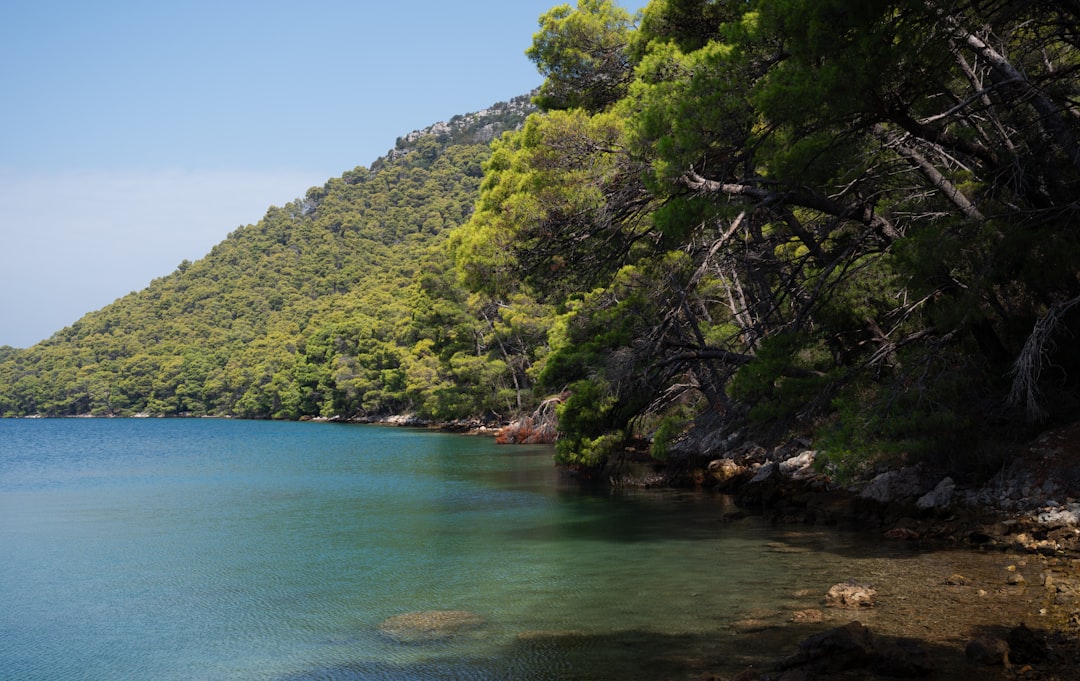 Dalmatian coast bar nightlife