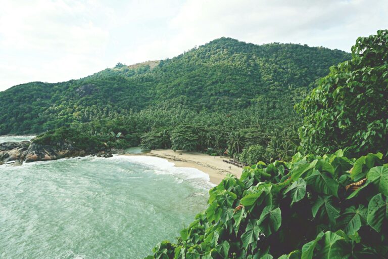 Read more about the article Full Moon Party Koh Phangan: Everything You Need to Know Before You Go (2026)