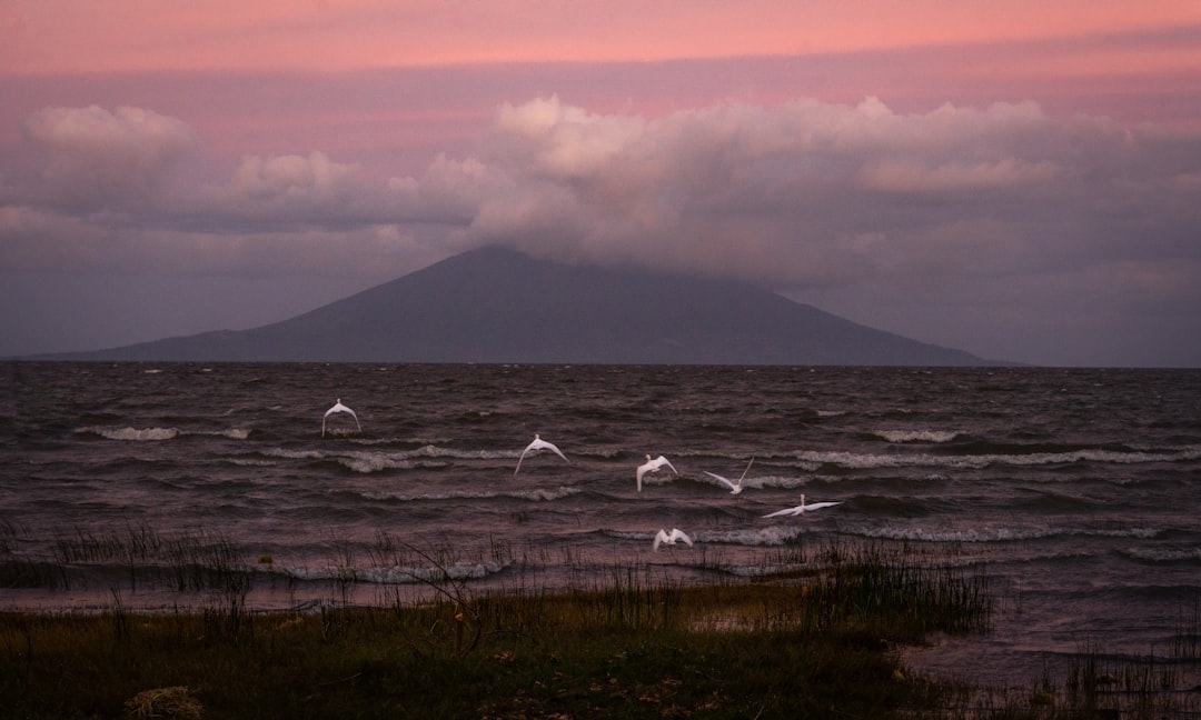 Read more about the article Booze Cruise Granada Nicaragua 2026: The Complete Insider Guide to the Lake Nicaragua Party Boat