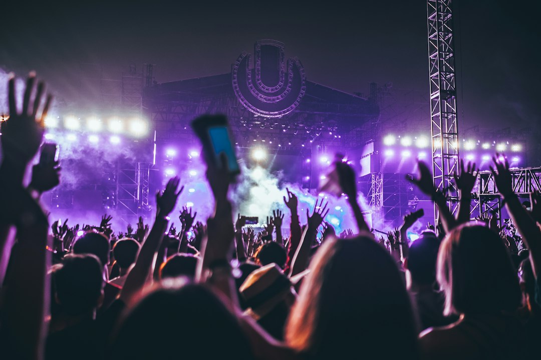 electronic music festival crowd lights